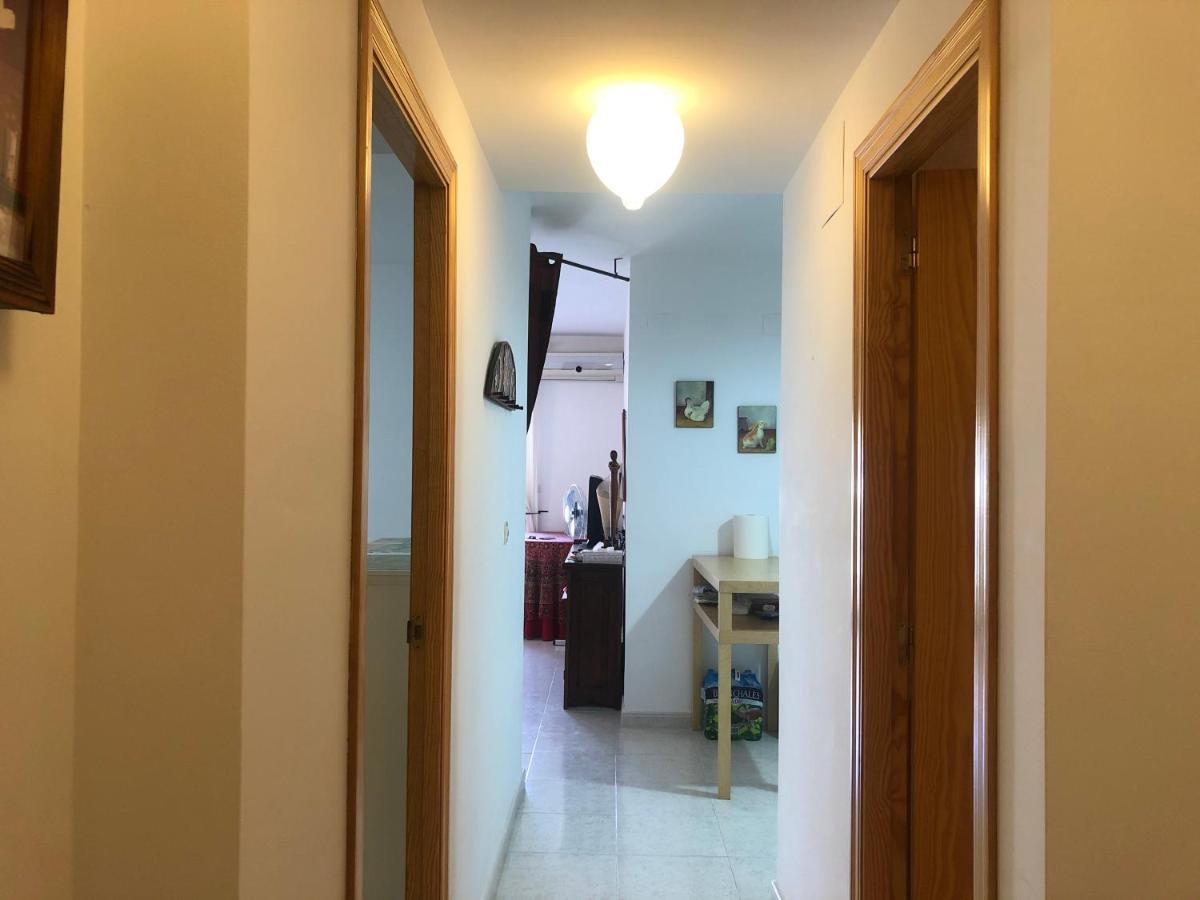Dianium A-Serviden دينايا المظهر الخارجي الصورة